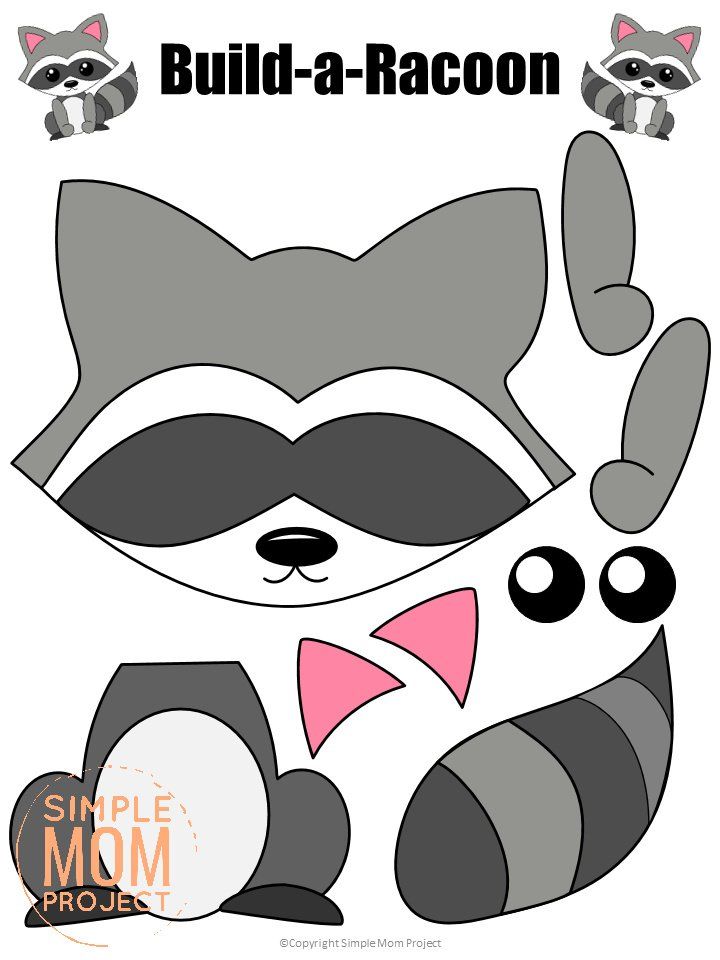 printable raccoon images