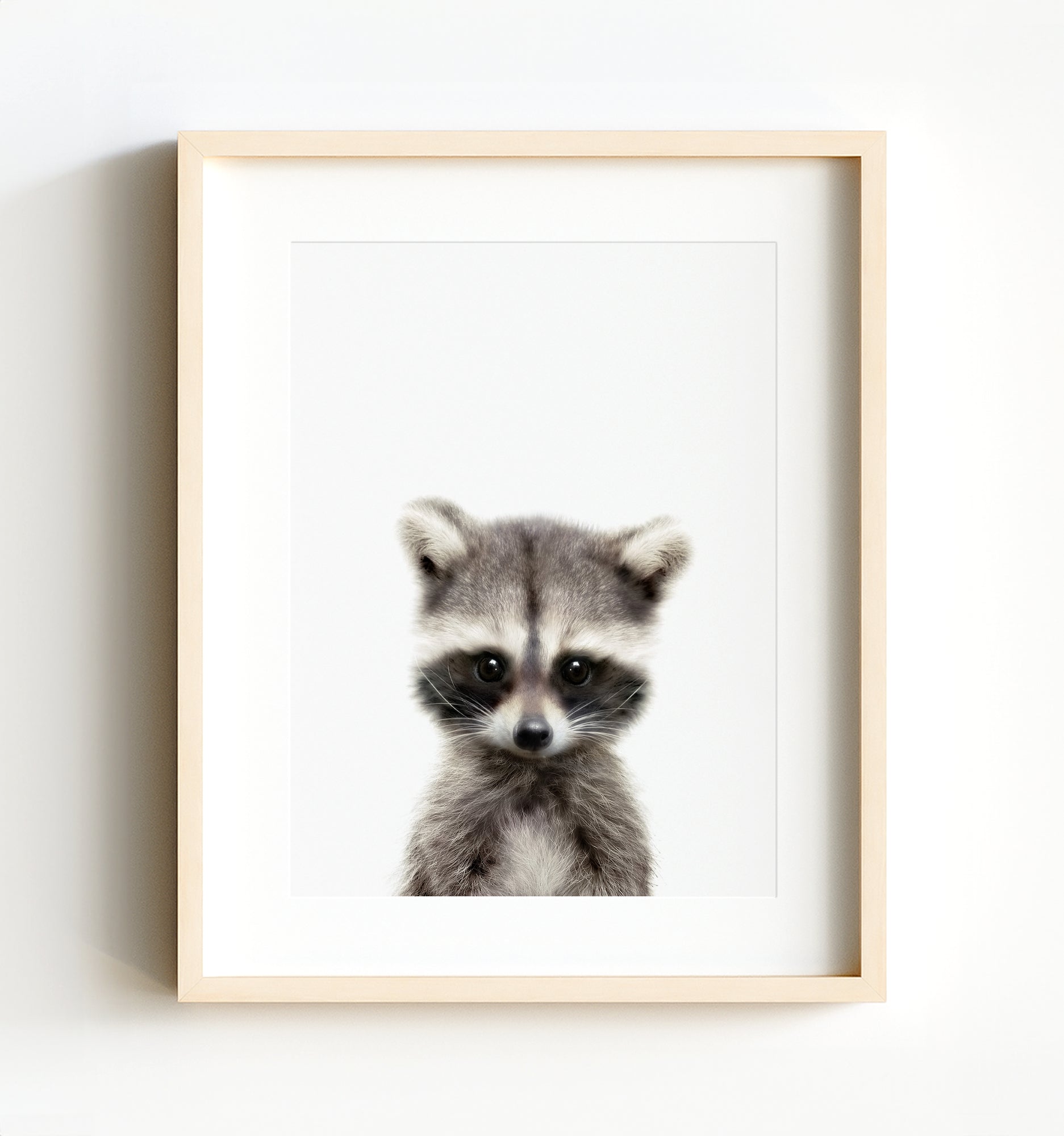 printable raccoon images
