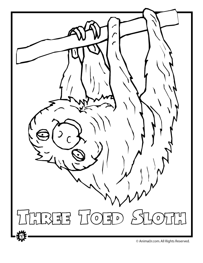 Endangered Animals Coloring Pages: Animals from North America, the ...