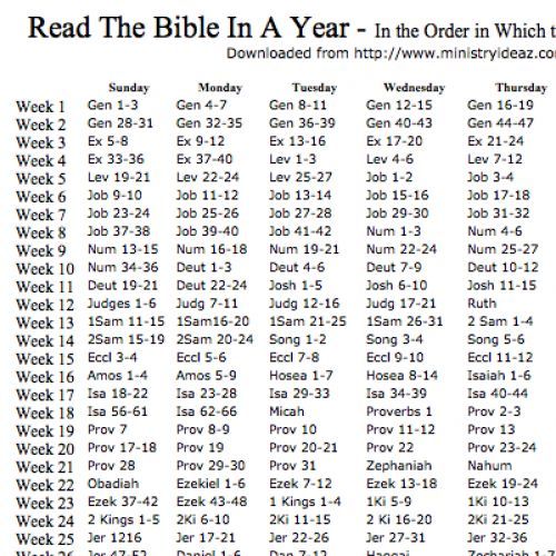 Year Schedule - 7 Free PDF Printables | Printablee