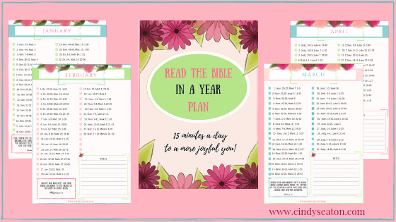 printable read bible year schedule