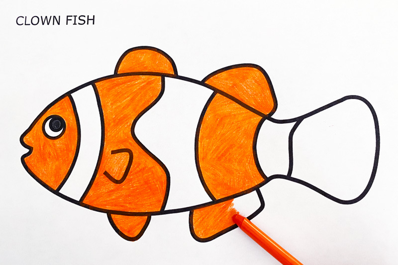 Coral Reef Fishes | Free Printable Templates &  Coloring Pages ...
