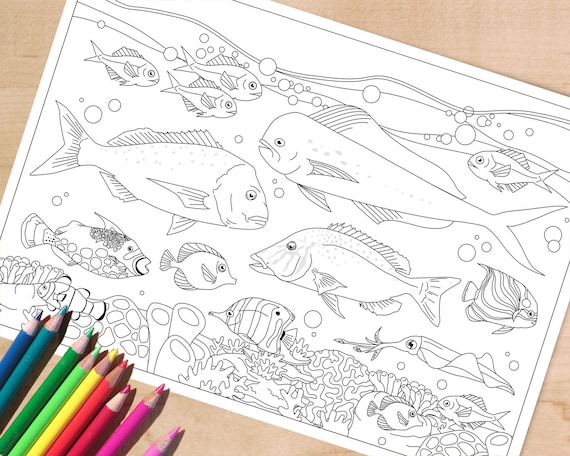 Printable Fish Coloring Page, Adult Colouring Page for Men, Ocean ...