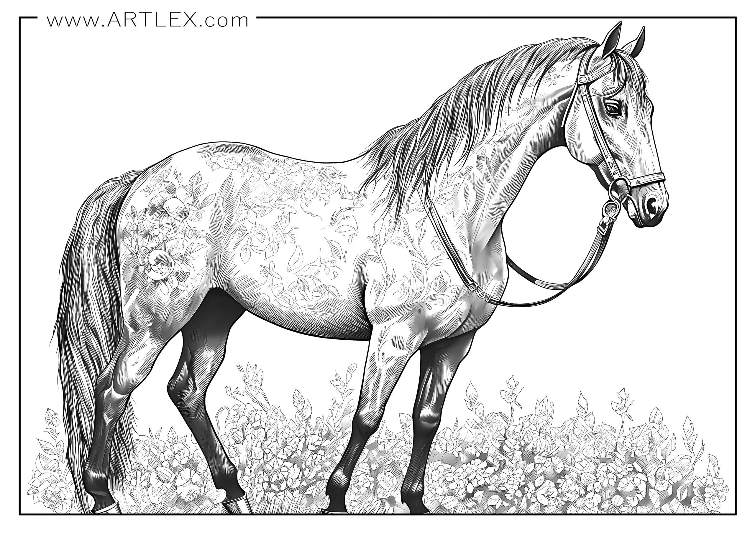 Realistic Horse Coloring Pages