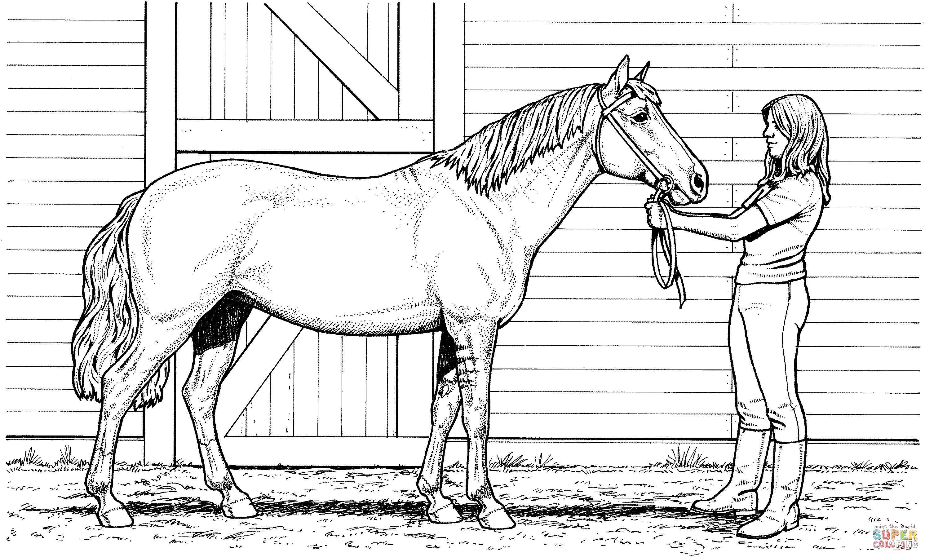 printable realistic horse coloring pages