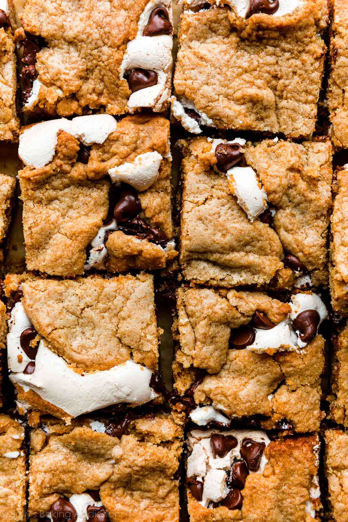 Smores Cookie Bars