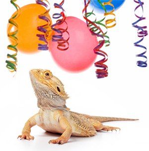 Free Party Invitations - Reptile Roadshow Parties and Events