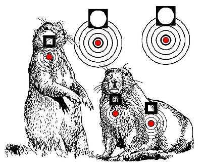 printable rifle pistol targets