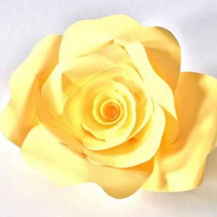 HOW TO MAKE DIY PAPER ROSE TEMPLATE + FREE PRINTABLE