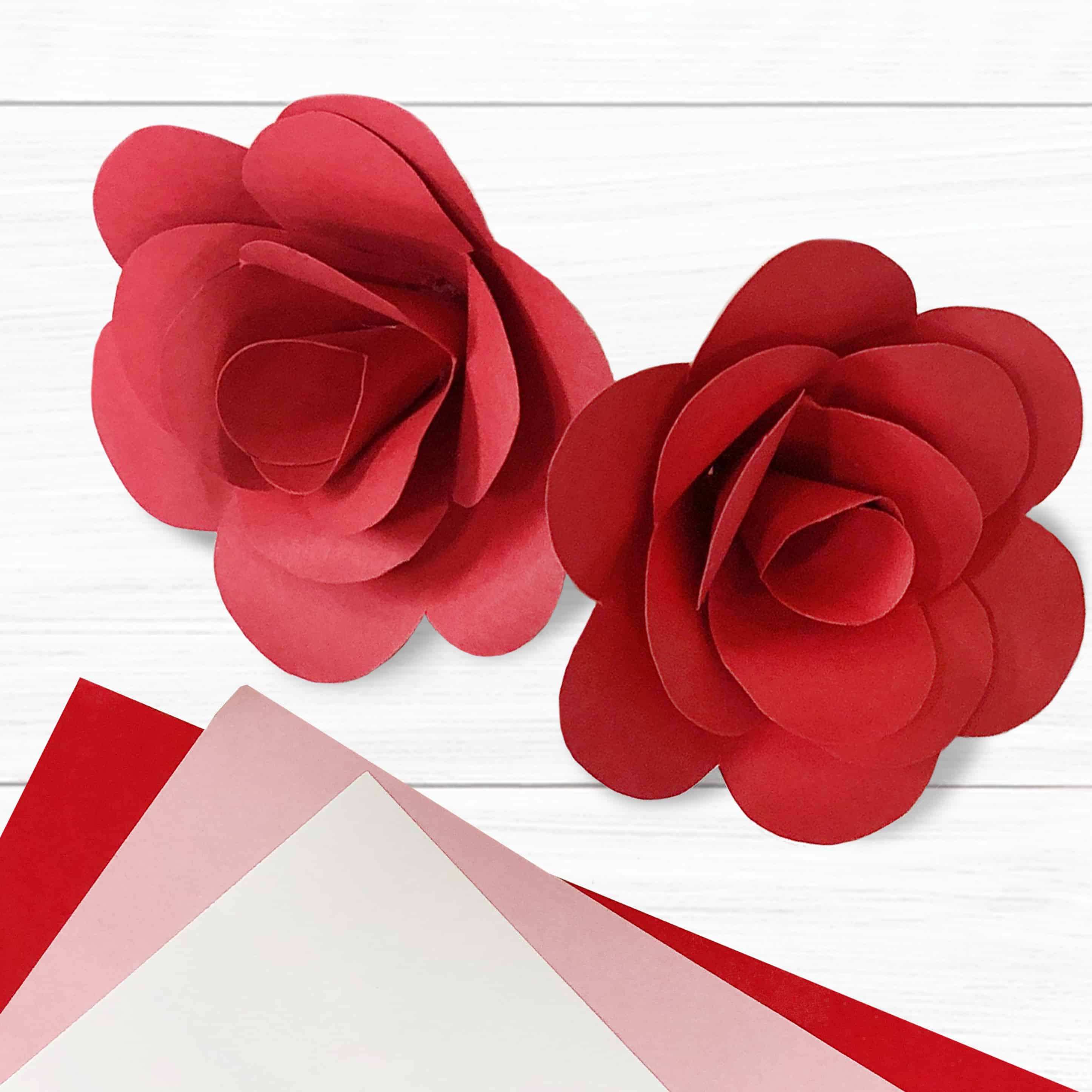 Paper Rose Template - Free Printable Download