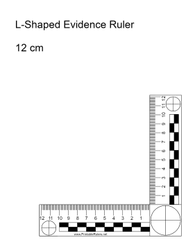 Printable - Scale Ruler - 1 - 56 | PDF | Foot (Unit) | Length