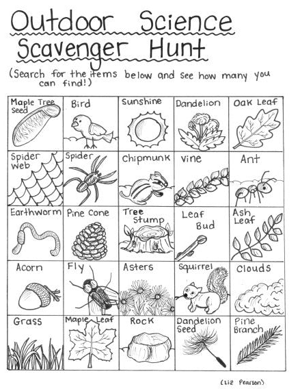 Outdoor Science Scavenger Hunt - Free Printable Coloring Page ...