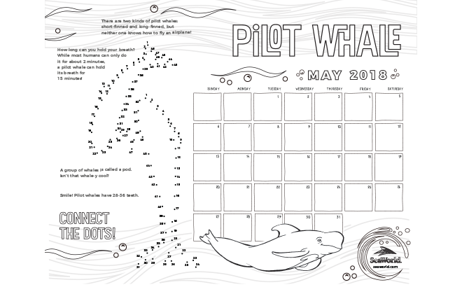 printable schedule may 2018