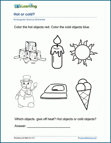 printable science worksheet for kids