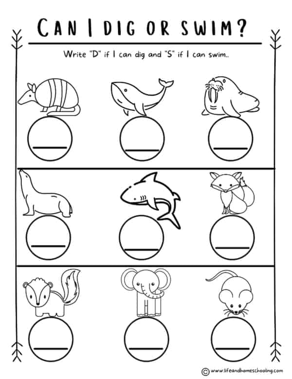 Preschool-Kindergarten Science Animals Printable Worksheets ...