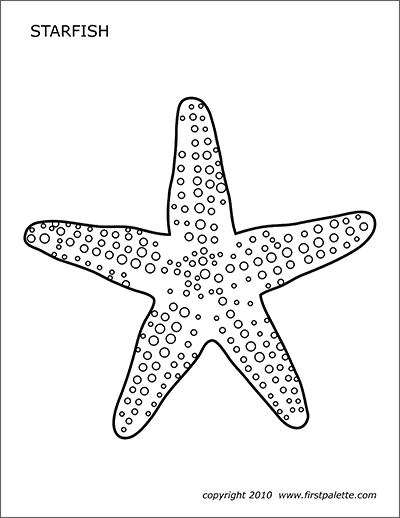 printable sea stars