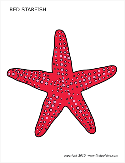 printable sea stars