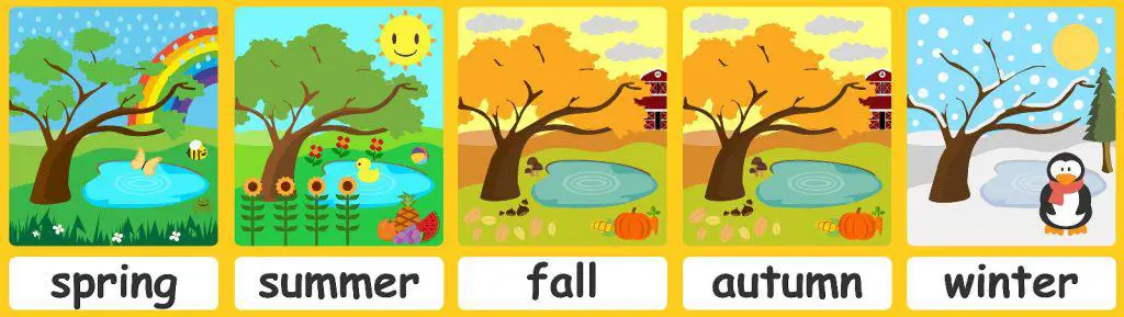 Seasons flashcards - Teach seasons - FREE Flashcards &  Posters!