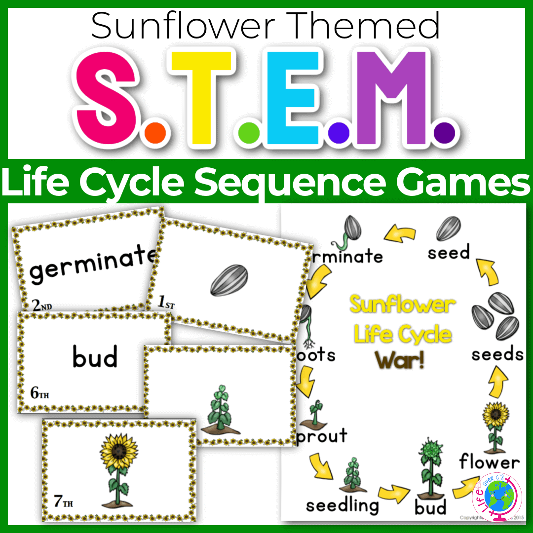 Sunflower Life Cycle Sequencing Card Game - Life Over Cs