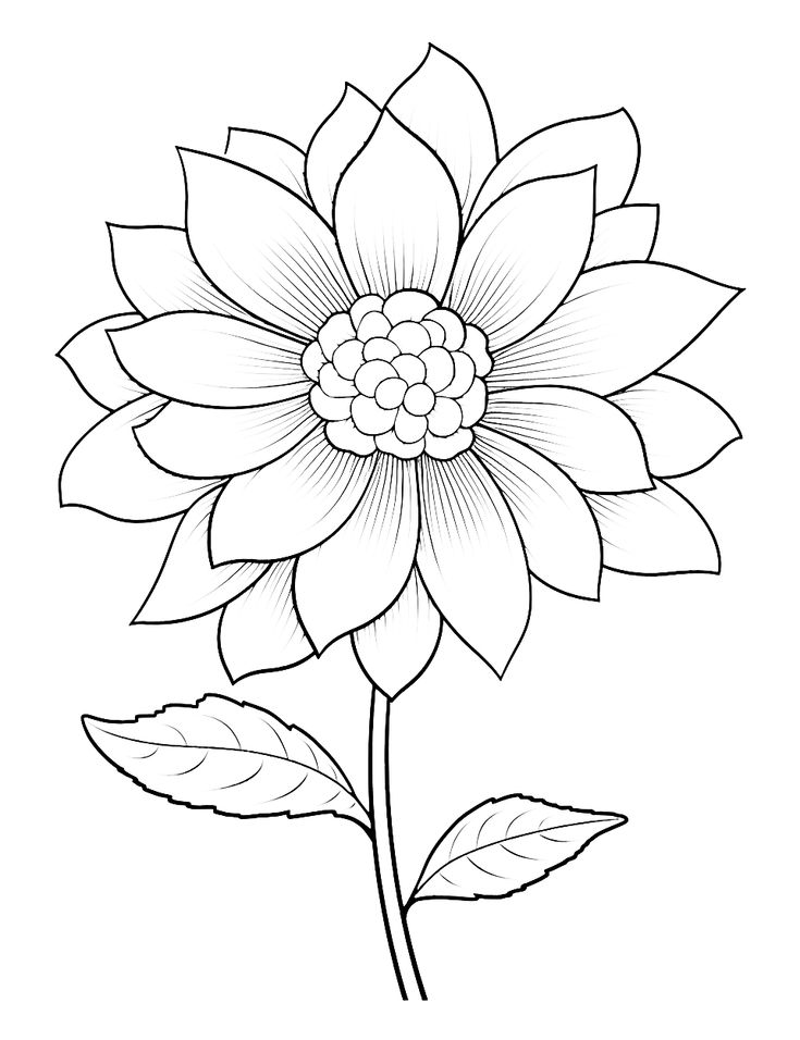 Free printable sketches of flowers Download Free printable sketches of