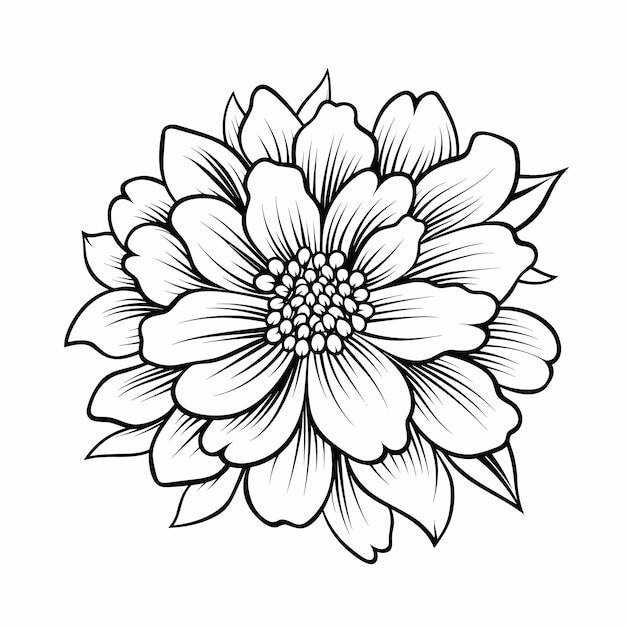 Free printable sketches of flowers Download Free printable sketches of