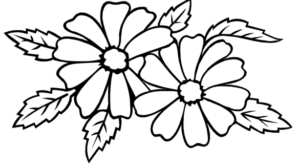 printable sketches of flowers