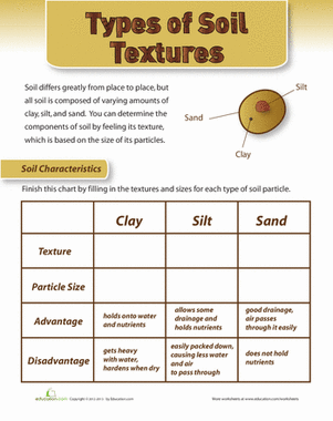 printable soil worksheet