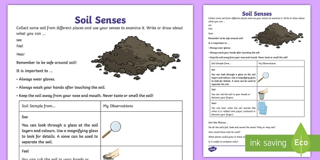 Soil Senses Worksheet (teacher made) - Twinkl