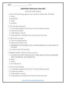 Soil Worksheets