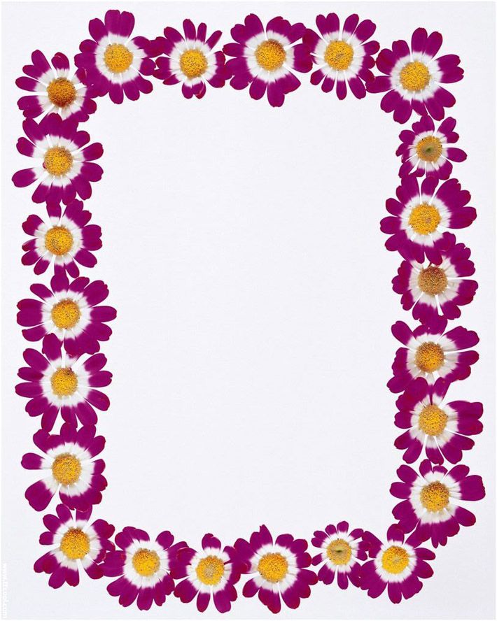 Spring Stationery, Spring Border Paper, Kids Spring Activities 38A