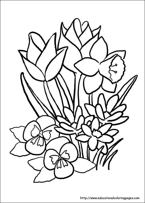 14 Places to Find Free, Printable Spring Coloring Pages