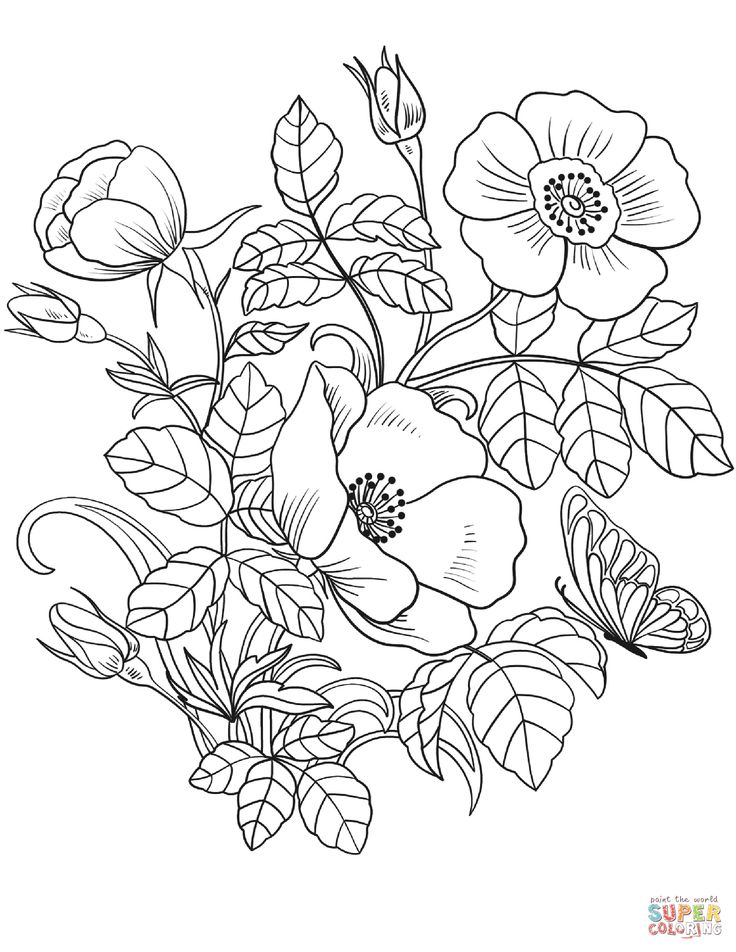printable spring flower coloring pages