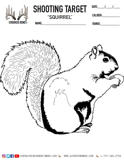 Squirrel | Free Printable Shooting Targets | Crooked Bend