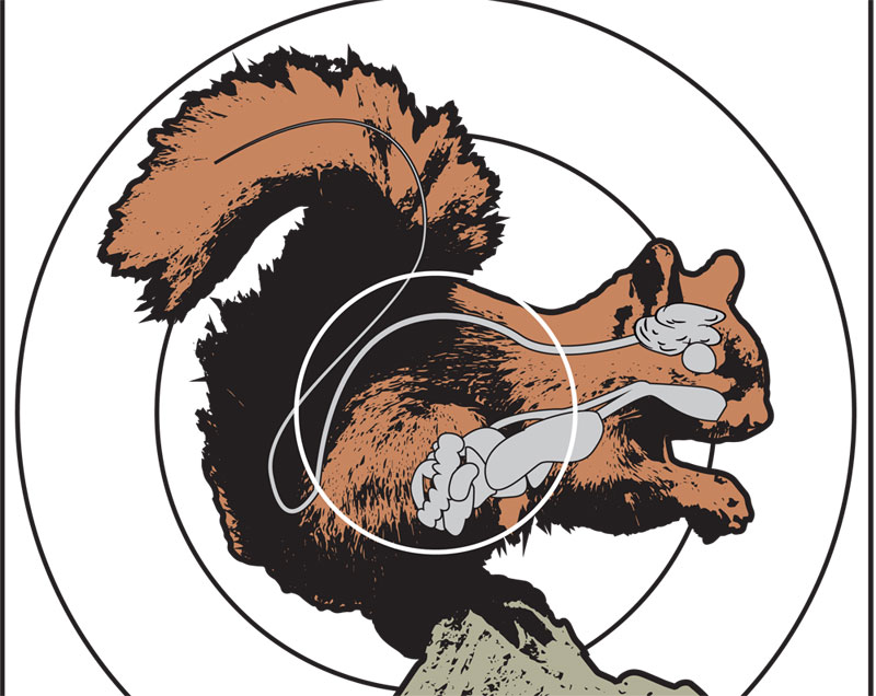 Free Printable Shooting Targets | Mossy Oak