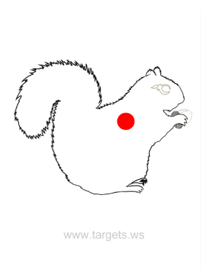 Squirrel target | Print at 100% (A4 size) for a useful pract… | Flickr