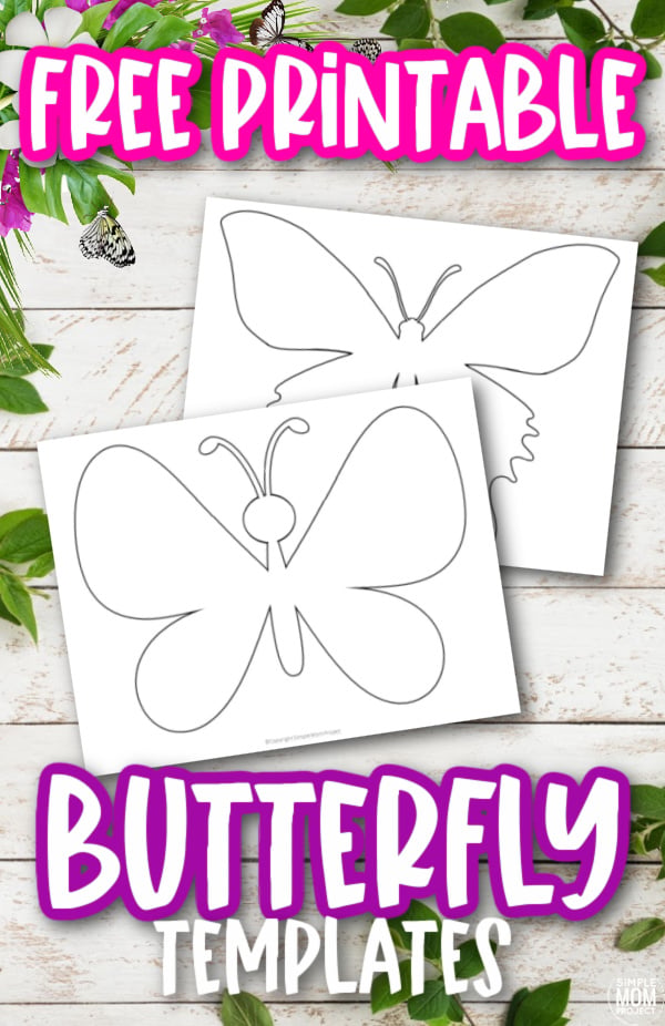 printable stencils butterfly outline