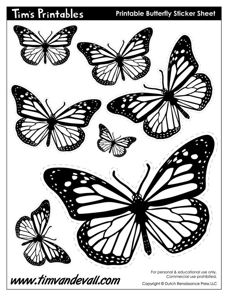 Butterfly Templates - Tims Printables