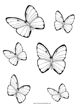 Butterfly Templates