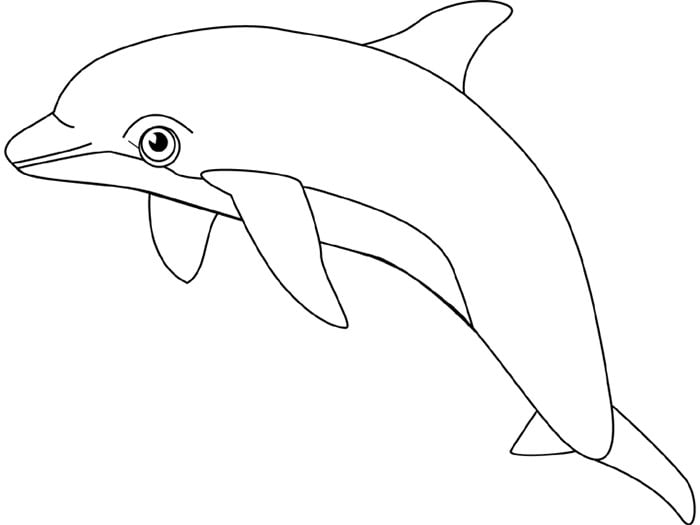 printable stencils of dolphins
