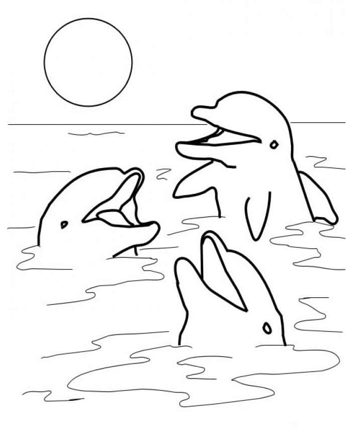 printable stencils of dolphins