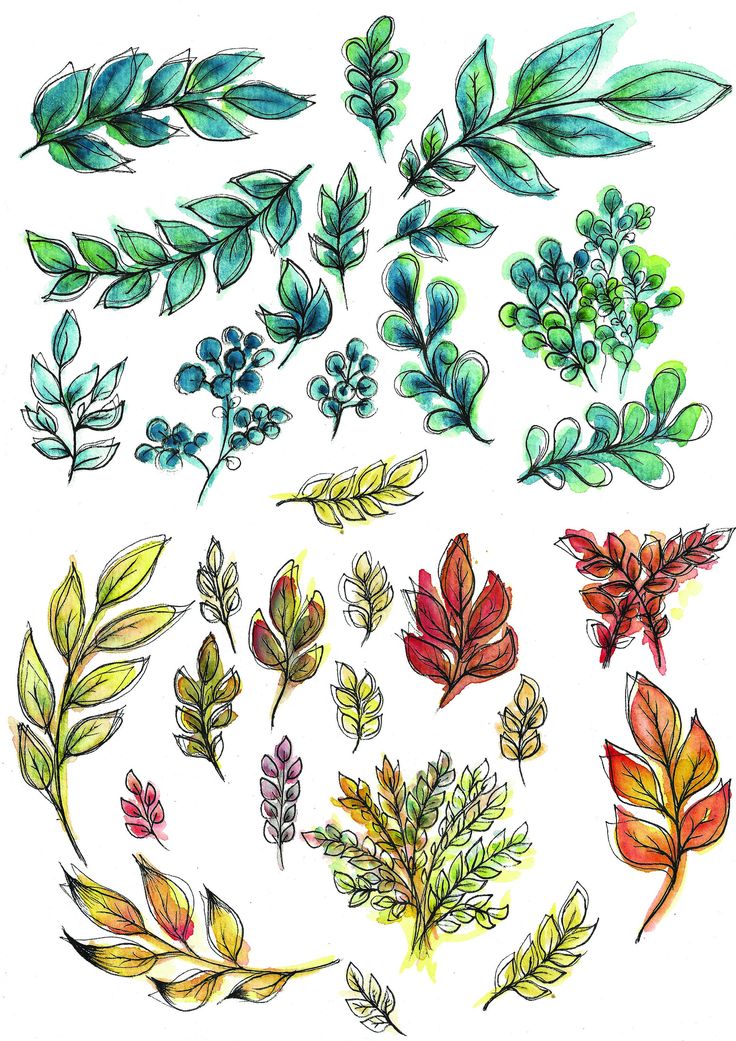Printable watercolor leaf stickers, A4 &amp; Letter