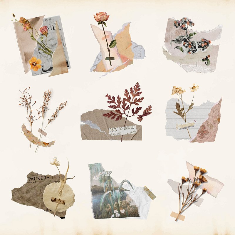 Aesthetic Journal Printable Stickers Images | Free Photos, PNG ...