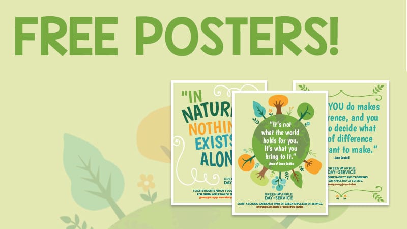 FREE Poster Set! Sustainability Posters for the Classroom - We Are ...