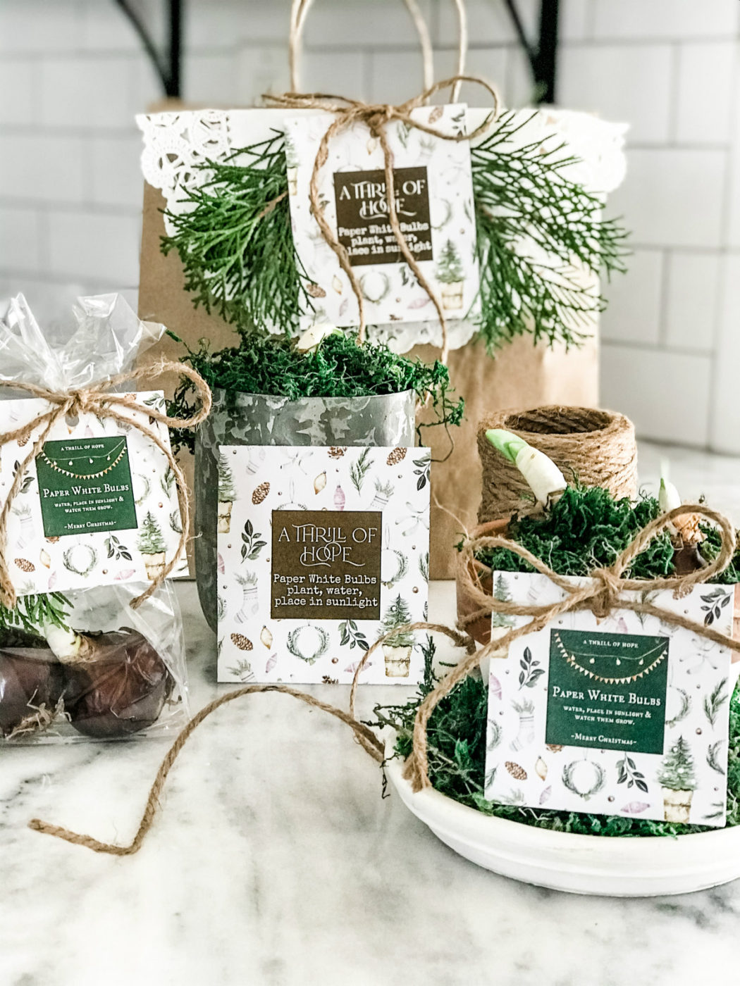 printable tags for gift bags