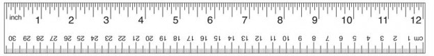 printable tape measure in inches