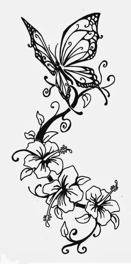 Insects