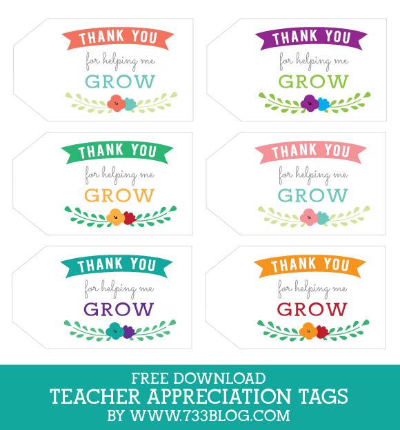 DIY Teacher gift with Printable Tag - Inspiration Made Simple