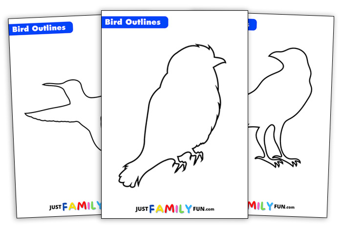 Free Printable Bird Outline Templates | Just Family Fun
