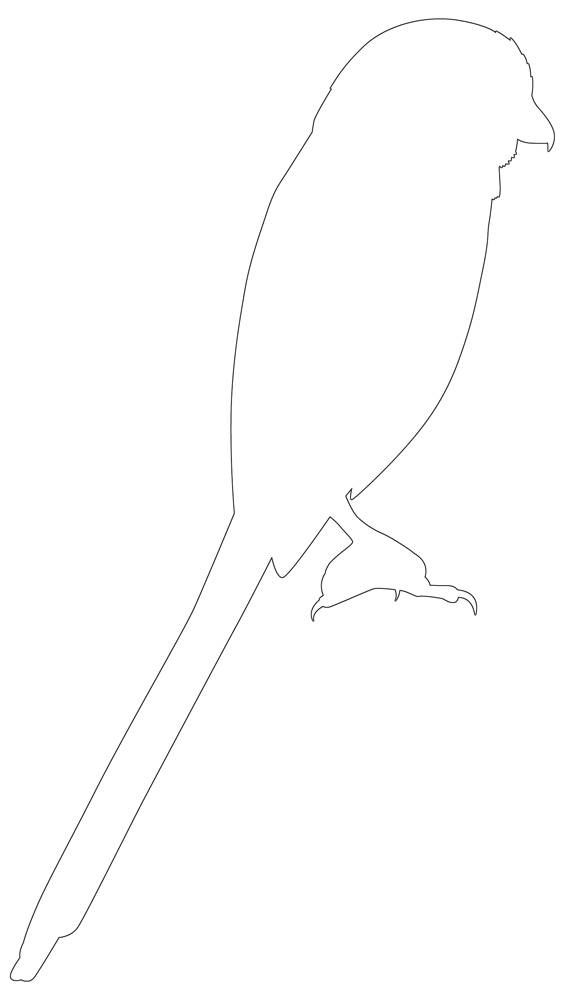 printable templates of birds