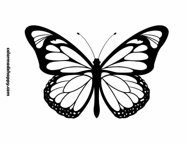printable templates of butterflies